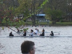 picture 047